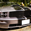 Mustang-GT300 2