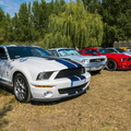 Mustangs 2