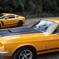 Ford Mustang Double