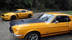 Ford Mustang Double
